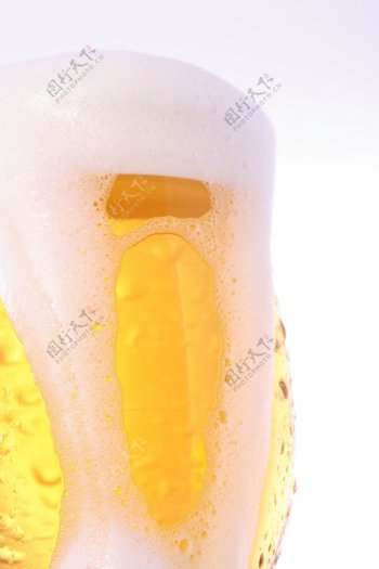 beer啤酒图片