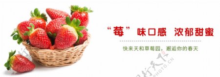 网站草莓广告图片