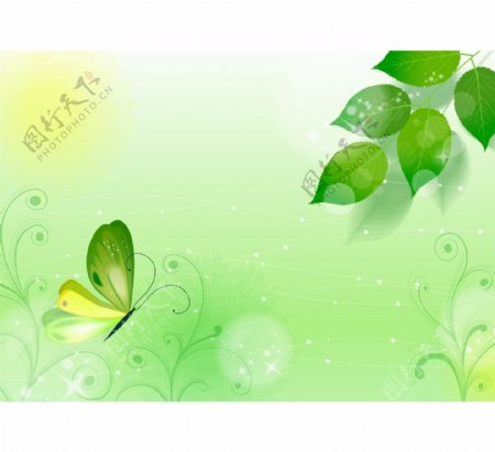 春绿色花蝴蝶的背景
