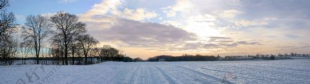冬季雪地风景图片