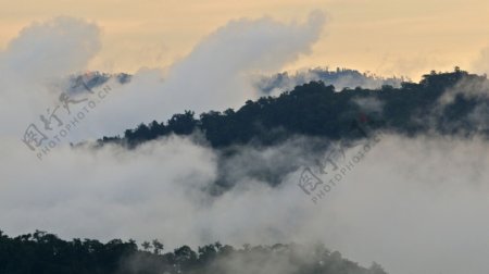 山上的雾和森林图片