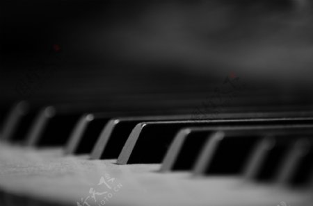 黑白钢琴图片