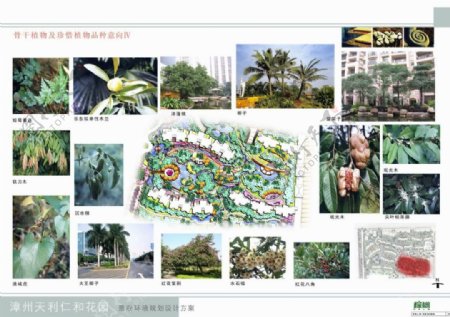 46.漳州天利仁和方案设计棕榈园林