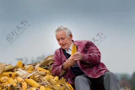 手拿玉米的农民图片