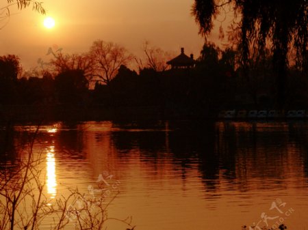 湖畔夕阳金辉图片