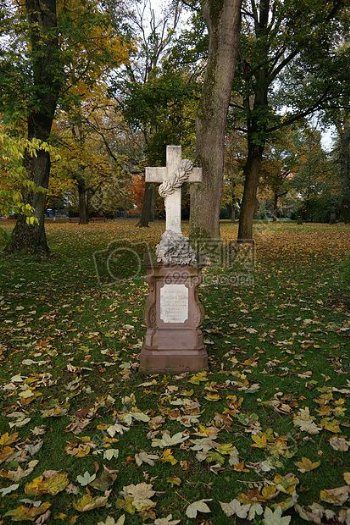 落叶中的墓碑