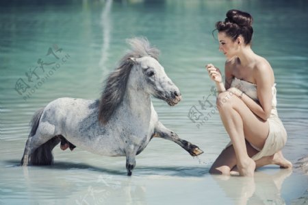 性感美女与马匹图片