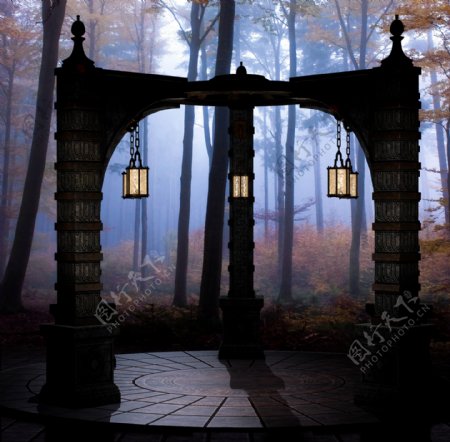 美丽树林里的亭子图片