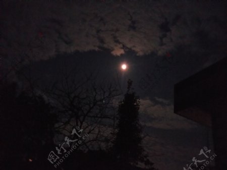 美丽的夜晚月亮风景图片