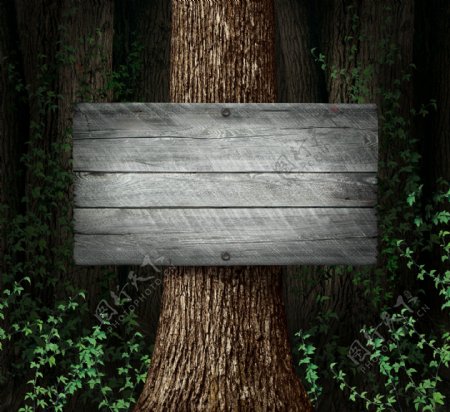 挂在树干上的木板