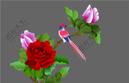 站在玫瑰花上的小鸟flash