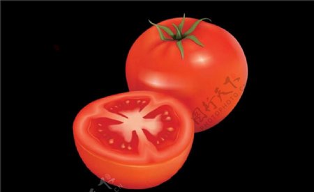 水灵灵的番茄flash高清动画