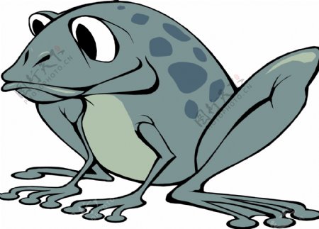 青蛙13