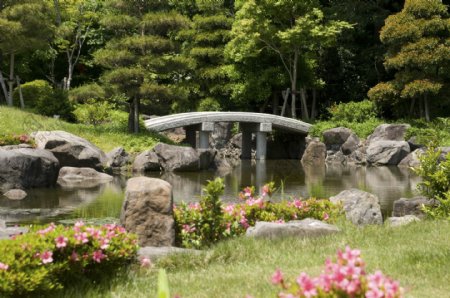 日本花园小桥风景