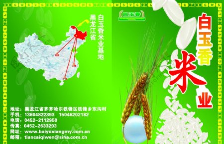 白玉香米业宣传