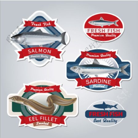 新鲜鱼类产品标签矢量素材