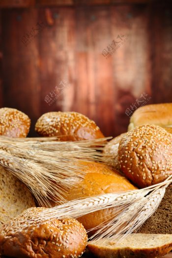 面包与麦穗