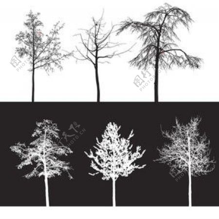 10种免费的树木photoshop笔刷素材下载