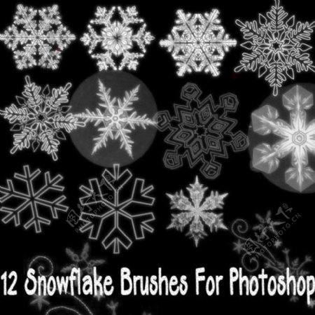 漂亮的雪花花纹冰晶图案photoshop笔刷素材