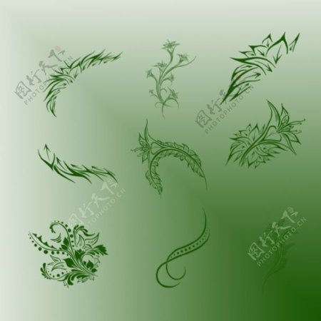 独立的优美艺术花纹图案Photoshop植物花纹笔刷