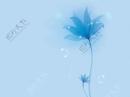 梦幻蓝色花卉背景墙图片