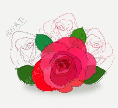 彩绘红色玫瑰花矢量素材
