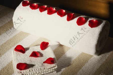玫瑰花瓣和毛巾特写图片