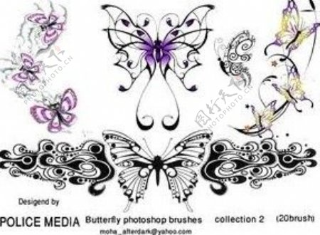 蝴蝶式花纹艺术装饰图案PS笔刷素材