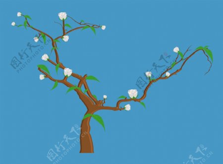 白色的花朵的树枝矢量插画