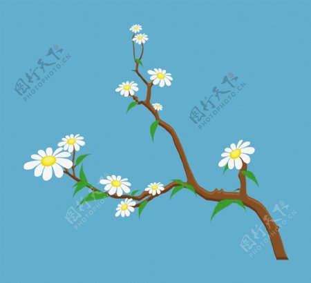 白色的花朵的树枝