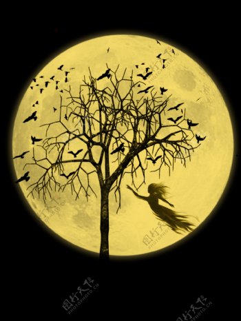月亮树木乌鸦图片