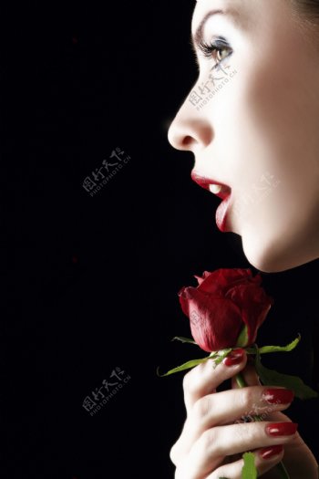 女性性感嘴唇与玫瑰花特写图片