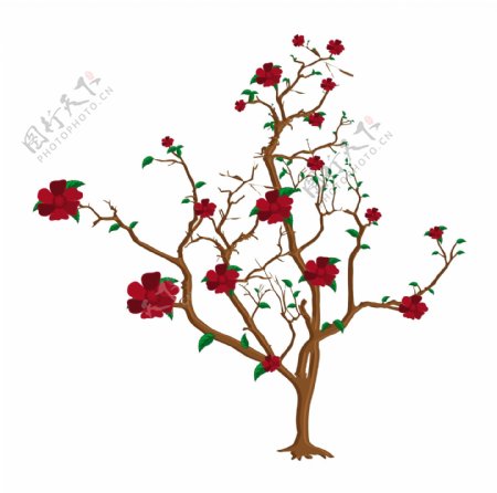 红色的花朵的树枝