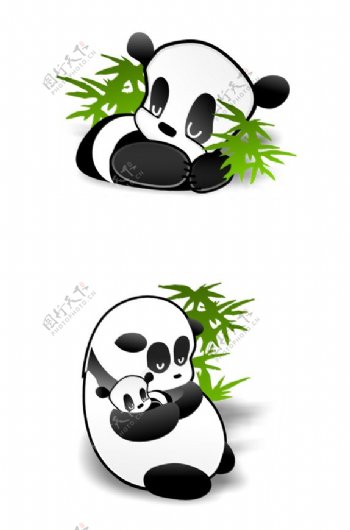 中国的熊猫和竹子