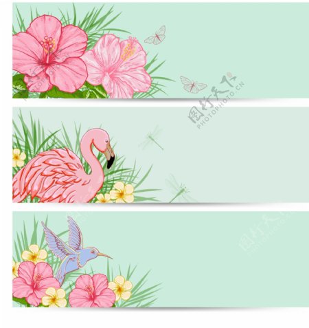 花朵和仙鹤边框