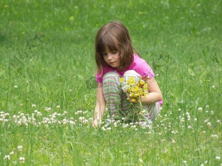 在草地摘花的女孩
