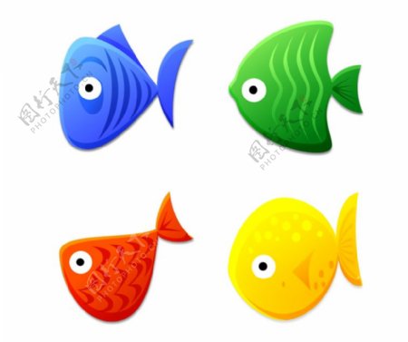 4种热带鱼