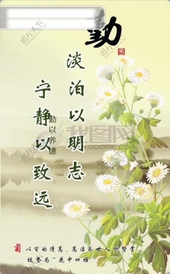中国文化艺术勤菊