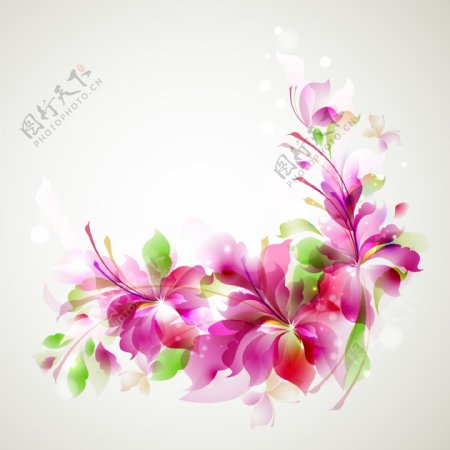 粉红色花卉插图背景