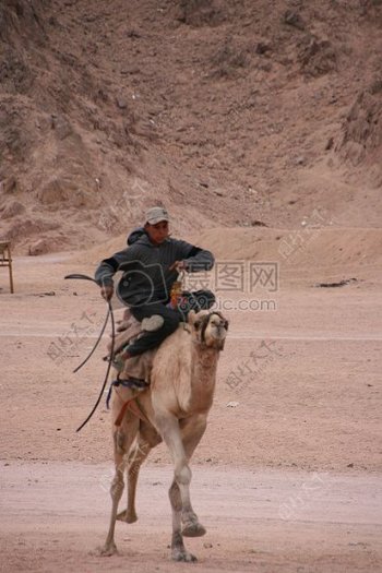 戈壁上骑着骆驼的人