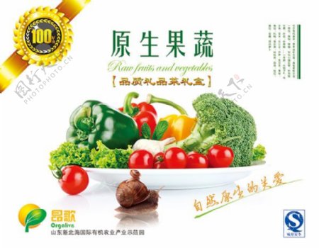 蔬菜水果包装设计PSD素材包装盒设计