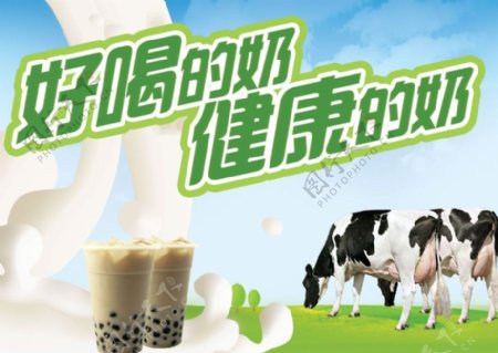健康牛奶广告