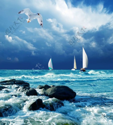 海浪石头帆船图片
