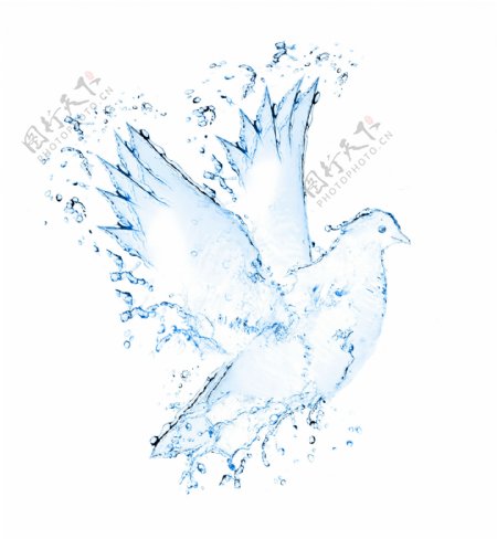 创意水组成的鸽子图案高清图片下载