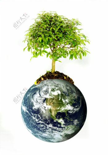 创意地球上的树木图片
