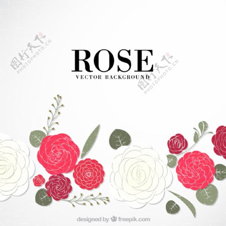玫瑰装饰背景