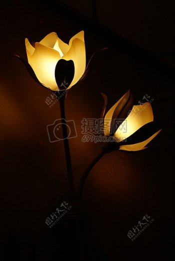 花卉照明壁灯