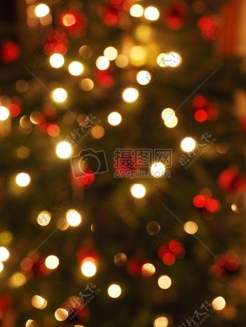 模糊的圣诞树彩灯