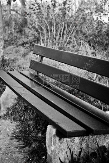 孤独的公园长椅