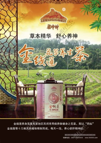 金线莲养生茶广告
